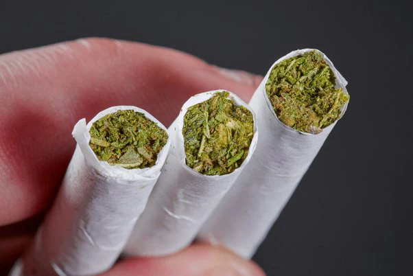 A Healthier And Environmentally Friendly Smoking Alternative